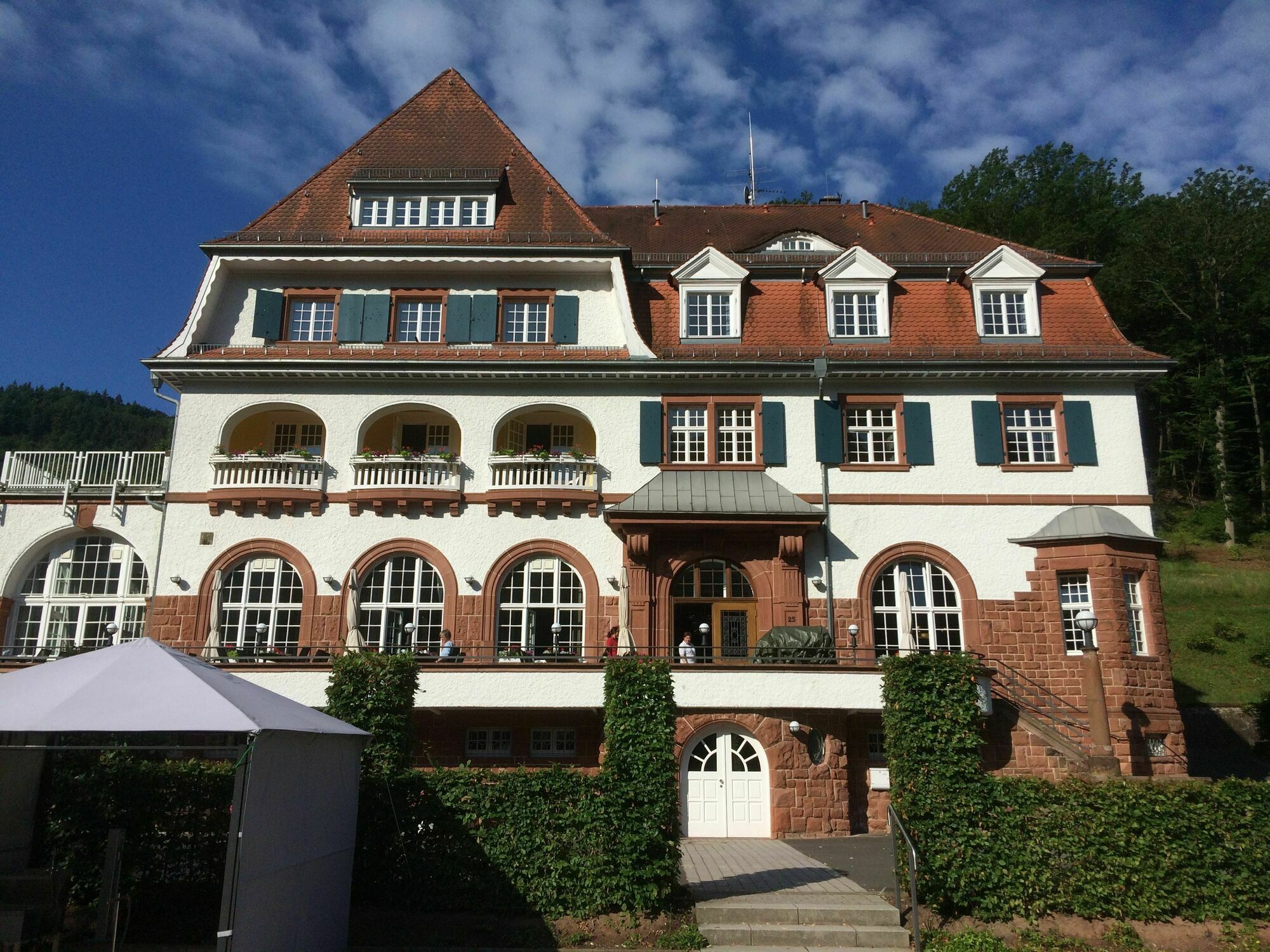 Jugendstilhotel Trifels Annweiler am Trifels Bagian luar foto